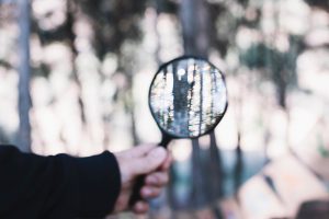 Casos famosos de detectives privados